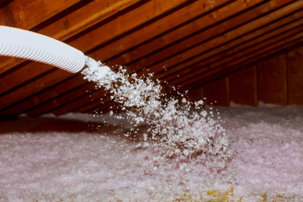 Best Insulation Materials and Products in Oglesby, IL