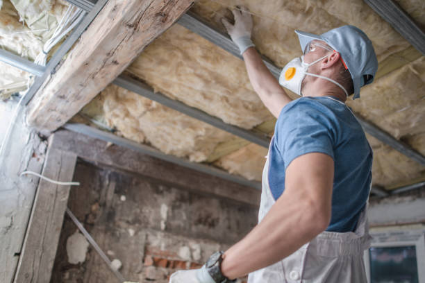 Best Insulation Maintenance and Repair in Oglesby, IL